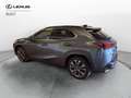 Lexus UX 250h UX250H DESIGN 4WD Grau - thumbnail 2