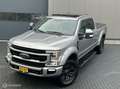 Ford F 350 USA Pickup Platinum Grigio - thumbnail 10
