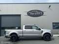 Ford F 350 USA Pickup Platinum Grau - thumbnail 4