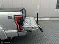 Ford F 350 USA Pickup Platinum Grigio - thumbnail 14