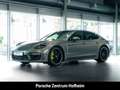 Porsche Panamera 4 E-Hybrid Platinum Edition Sportabgas Grün - thumbnail 1