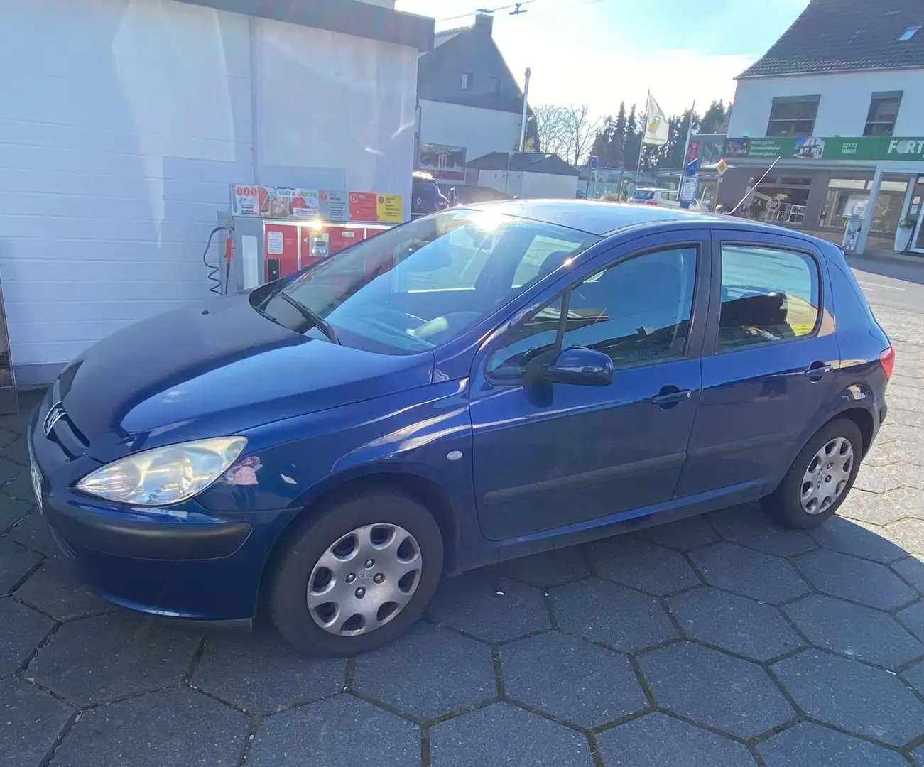 Peugeot 307 Grande Filou Cool Modrá - 2