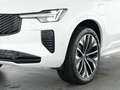 Volvo XC90 T8 AWD Plug-in Hybrid Plus Dark Weiß - thumbnail 10