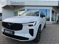 Volvo XC90 T8 AWD Plug-in Hybrid Plus Dark Blanc - thumbnail 1