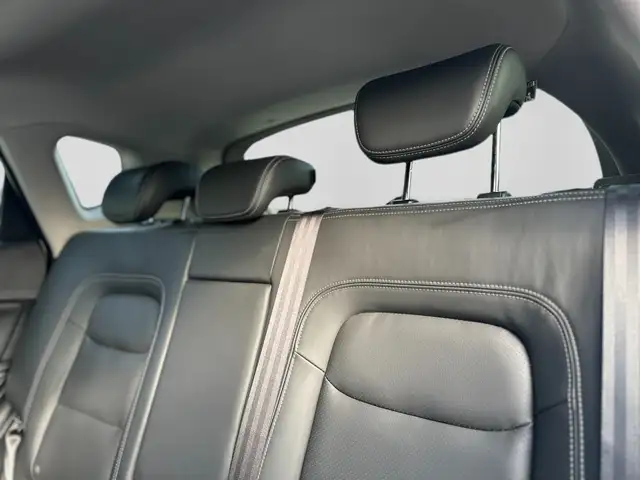 DR Automobiles DR F35 view 7