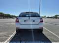 Skoda Rapid/Spaceback 1.6 TDI stesso della Golf - thumbnail 4