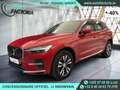 Volvo XC60 -40% T6 PHEV 350cv BVA8 4X4 +T.PANO+GPS+Options Roşu - thumbnail 1