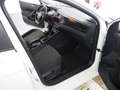 Volkswagen Polo Weiß - thumbnail 16