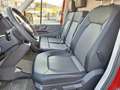 MAN TGE 55qli 180CV A/T FRIGO 0° L3900mm 2600 KG Rosso - thumbnail 11