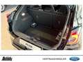 Ford Puma 1.0 EcoBoost Hybrid Aut. ST-LINE KLIMAAUTOMATIK Schwarz - thumbnail 9