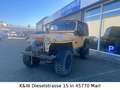 Jeep CJ-7 Offroad,5,9 Liter AMC,8274 Winde,H-Zulassung Żółty - thumbnail 1