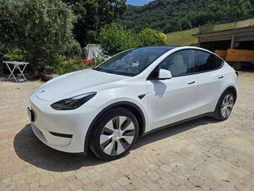 Model Y 2021 Single Motor rwd