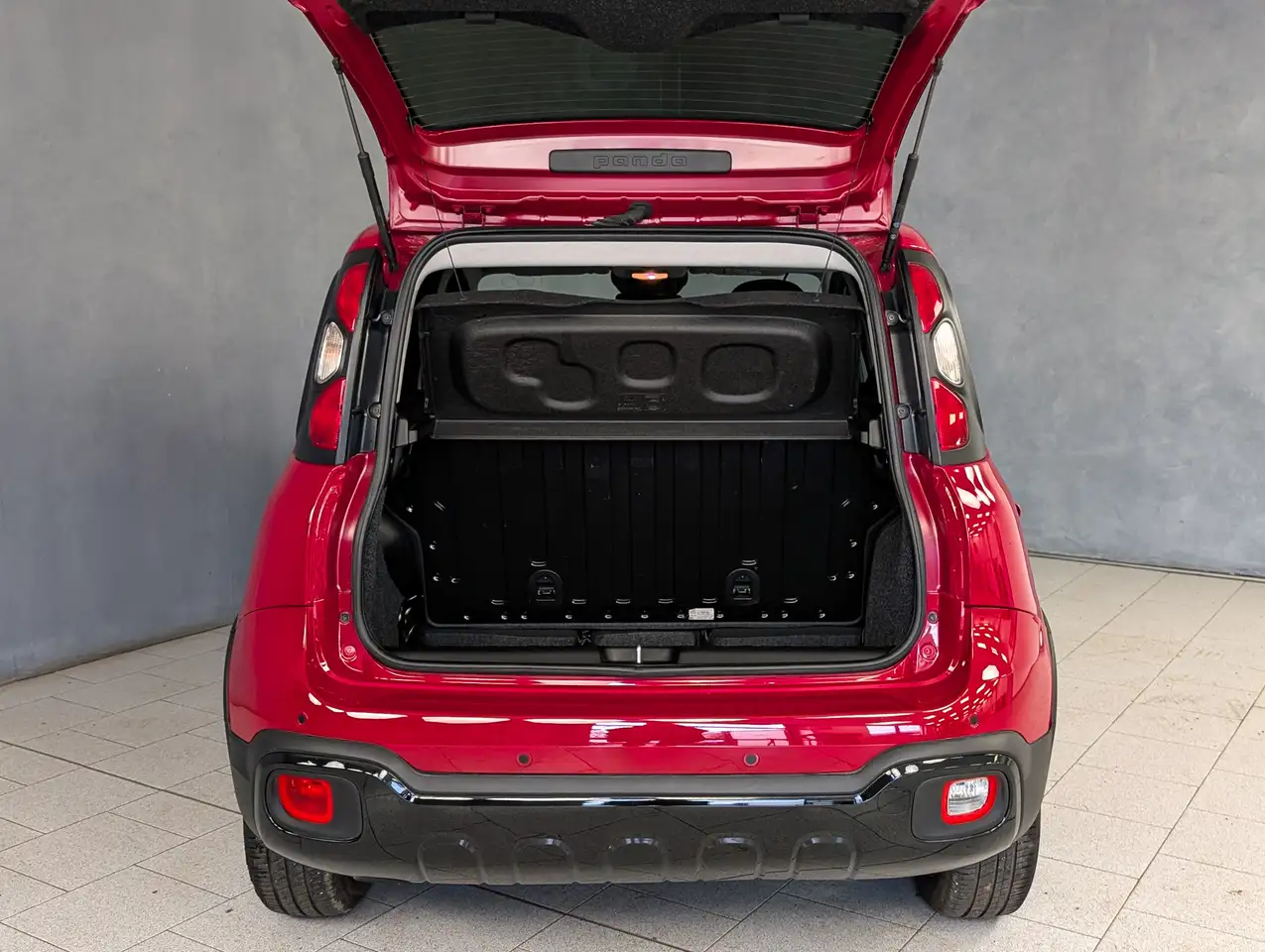 Fiat Panda 1.0 HYBRID 70CV PANDINA CROSS 14