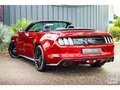 Ford Mustang GT Cabriolet 5.0L V8 421 CH BVM6 Ruby Red Rot - thumbnail 15