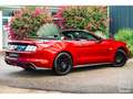 Ford Mustang GT Cabriolet 5.0L V8 421 CH BVM6 Ruby Red Rot - thumbnail 14