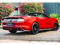 Ford Mustang GT Cabriolet 5.0L V8 421 CH BVM6 Ruby Red Rot - thumbnail 13