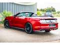 Ford Mustang GT Cabriolet 5.0L V8 421 CH BVM6 Ruby Red Rot - thumbnail 17