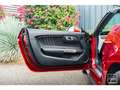 Ford Mustang GT Cabriolet 5.0L V8 421 CH BVM6 Ruby Red Rot - thumbnail 6