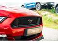 Ford Mustang GT Cabriolet 5.0L V8 421 CH BVM6 Ruby Red Rot - thumbnail 30