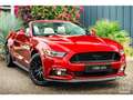 Ford Mustang GT Cabriolet 5.0L V8 421 CH BVM6 Ruby Red Rot - thumbnail 10