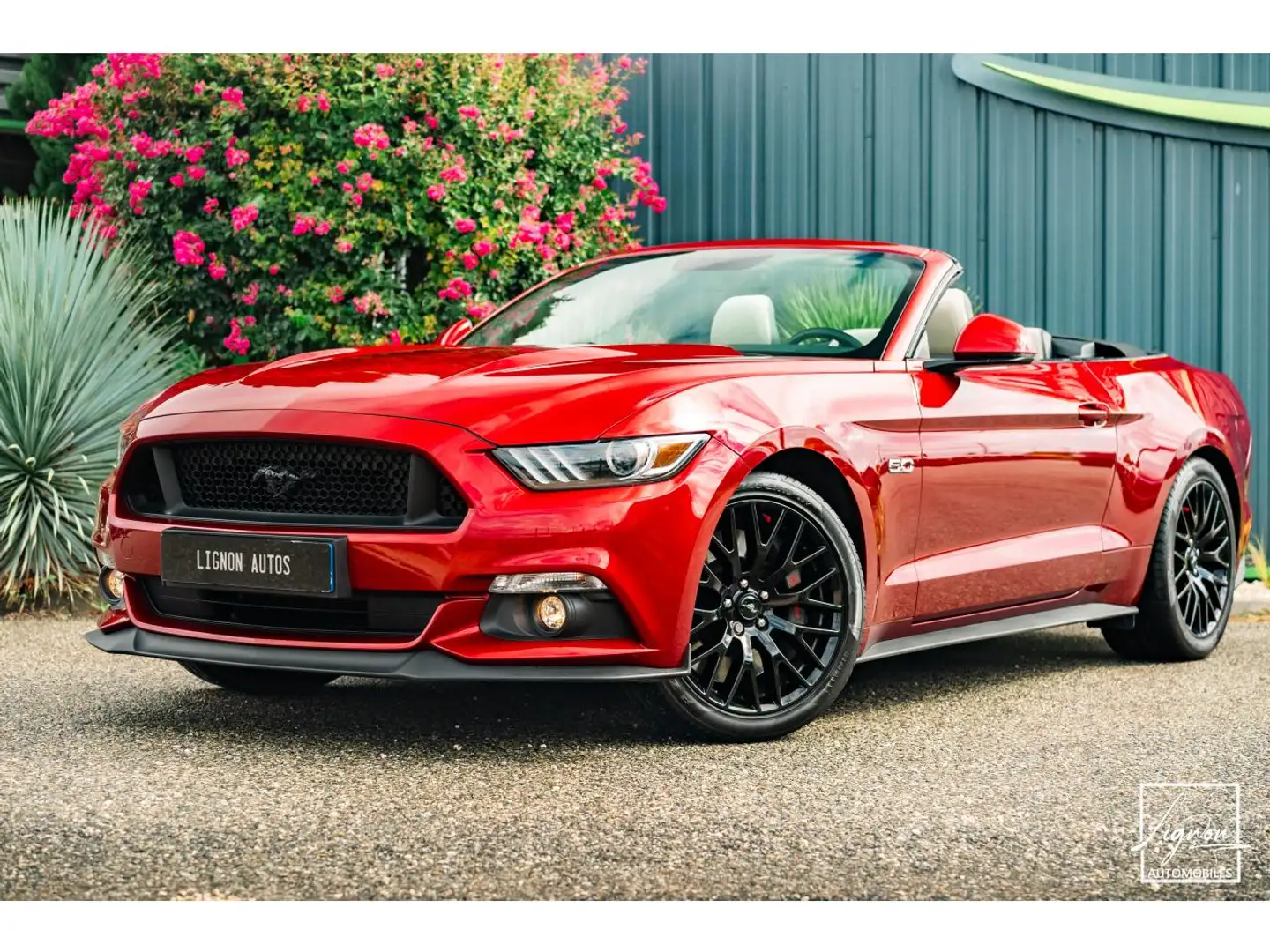 Ford Mustang GT Cabriolet 5.0L V8 421 CH BVM6 Ruby Red Rot - 1