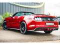 Ford Mustang GT Cabriolet 5.0L V8 421 CH BVM6 Ruby Red Rot - thumbnail 16
