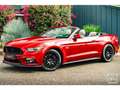 Ford Mustang GT Cabriolet 5.0L V8 421 CH BVM6 Ruby Red Rot - thumbnail 8