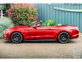 Ford Mustang GT Cabriolet 5.0L V8 421 CH BVM6 Ruby Red Rot - thumbnail 5