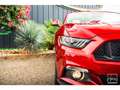 Ford Mustang GT Cabriolet 5.0L V8 421 CH BVM6 Ruby Red Rot - thumbnail 29