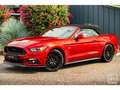 Ford Mustang GT Cabriolet 5.0L V8 421 CH BVM6 Ruby Red Rot - thumbnail 9