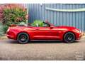 Ford Mustang GT Cabriolet 5.0L V8 421 CH BVM6 Ruby Red Rot - thumbnail 19