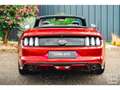 Ford Mustang GT Cabriolet 5.0L V8 421 CH BVM6 Ruby Red Rot - thumbnail 20