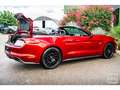 Ford Mustang GT Cabriolet 5.0L V8 421 CH BVM6 Ruby Red Rot - thumbnail 25