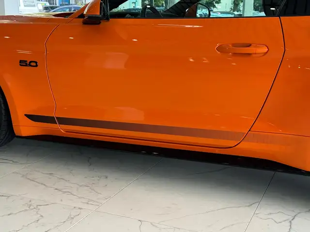 Ford Mustang view 14