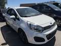 Kia Rio Weiß - thumbnail 3