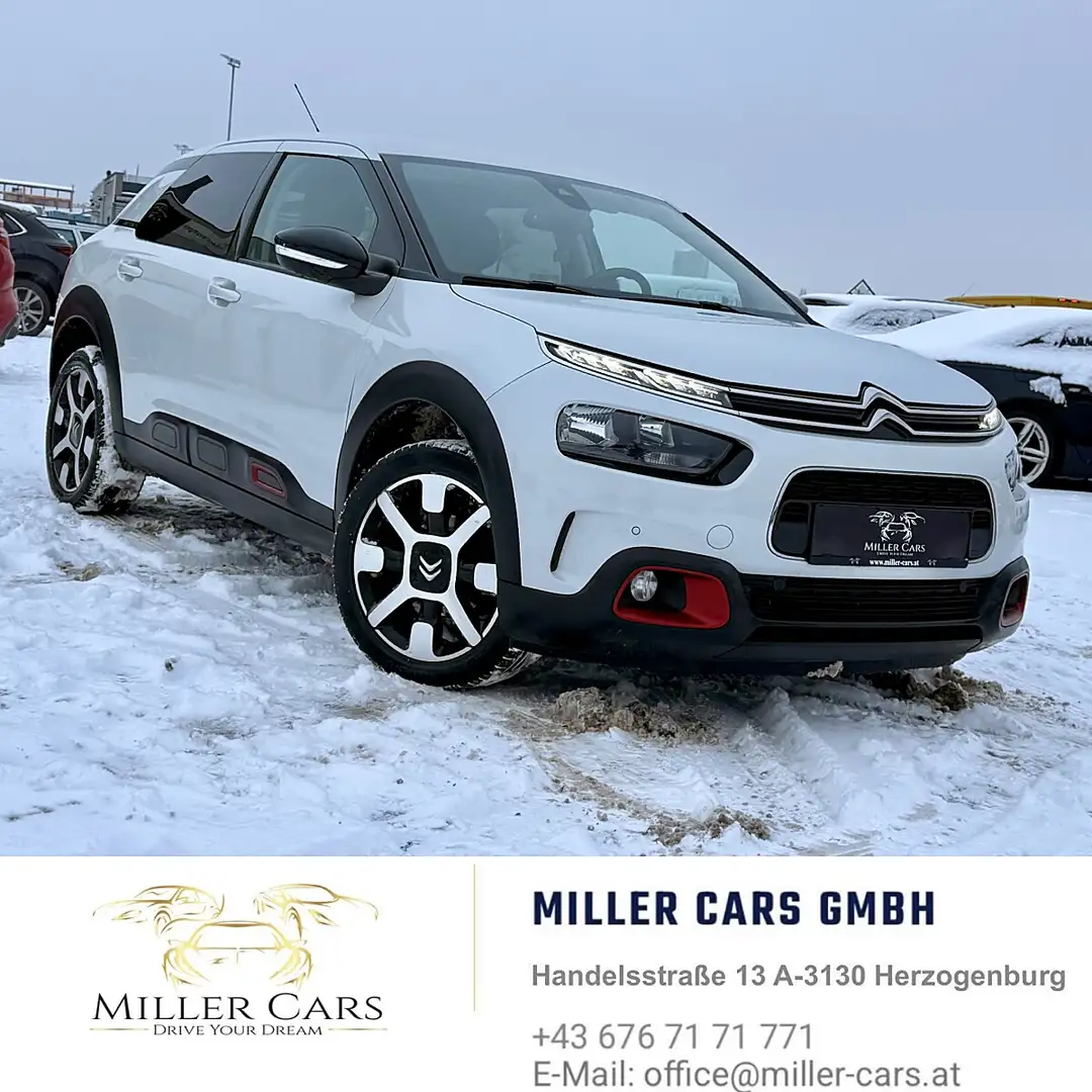 Citroen C4 Cactus PureTech 110 S&S EAT6 Shine*Servicegepflegt*Gar... Weiß - 2
