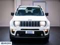 Jeep Renegade 1.0 T3 Limited - Km0 Wit - thumbnail 3