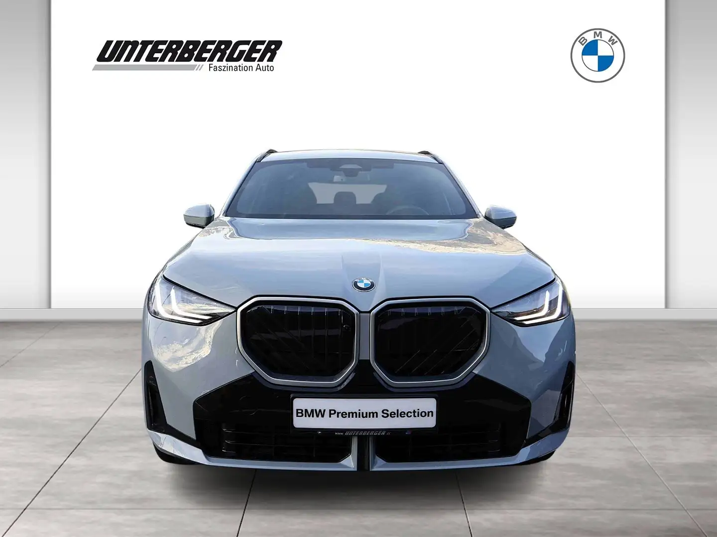 BMW X3 30e xDrive M Sportpaket DAB LED RFK Grau - 2