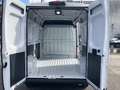 Fiat Ducato Ducato E 35 L2H2 79 kWh Blanc - thumbnail 6
