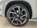 Skoda Karoq 2.0 TDI Sportline 4x4 (EURO 6d) Grau - thumbnail 6