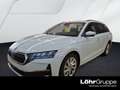Skoda Octavia Combi 1.5 TSI mHEV DSG Selection Navi Weiß - thumbnail 1