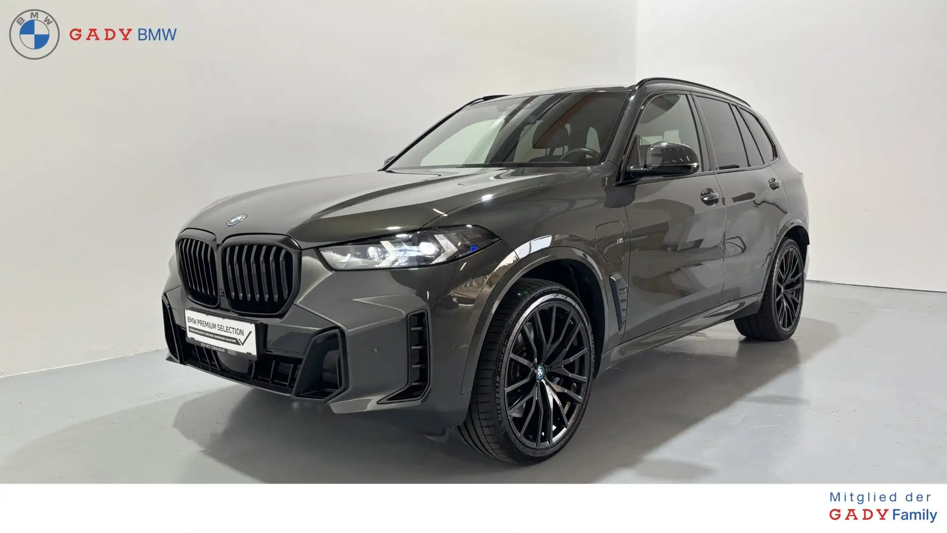 BMW X5 X5 xDrive50e Grau - 1