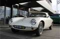 Lotus Elite S2 RHD Wit - thumbnail 21