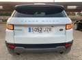 Land Rover Range Rover Evoque 2.0eD4 Pure 2WD 150 Blanco - thumbnail 5