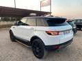 Land Rover Range Rover Evoque 2.0eD4 Pure 2WD 150 Blanco - thumbnail 4