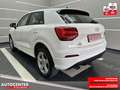 Audi Q2 30 TFSI sport "NAVI-SITZH-MULTI-PDC-ALU" Weiß - thumbnail 5