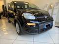 Fiat Panda PROPOSTA NOLEGGIO Pandina 1.0 firefly hybrid s Nero - thumbnail 2