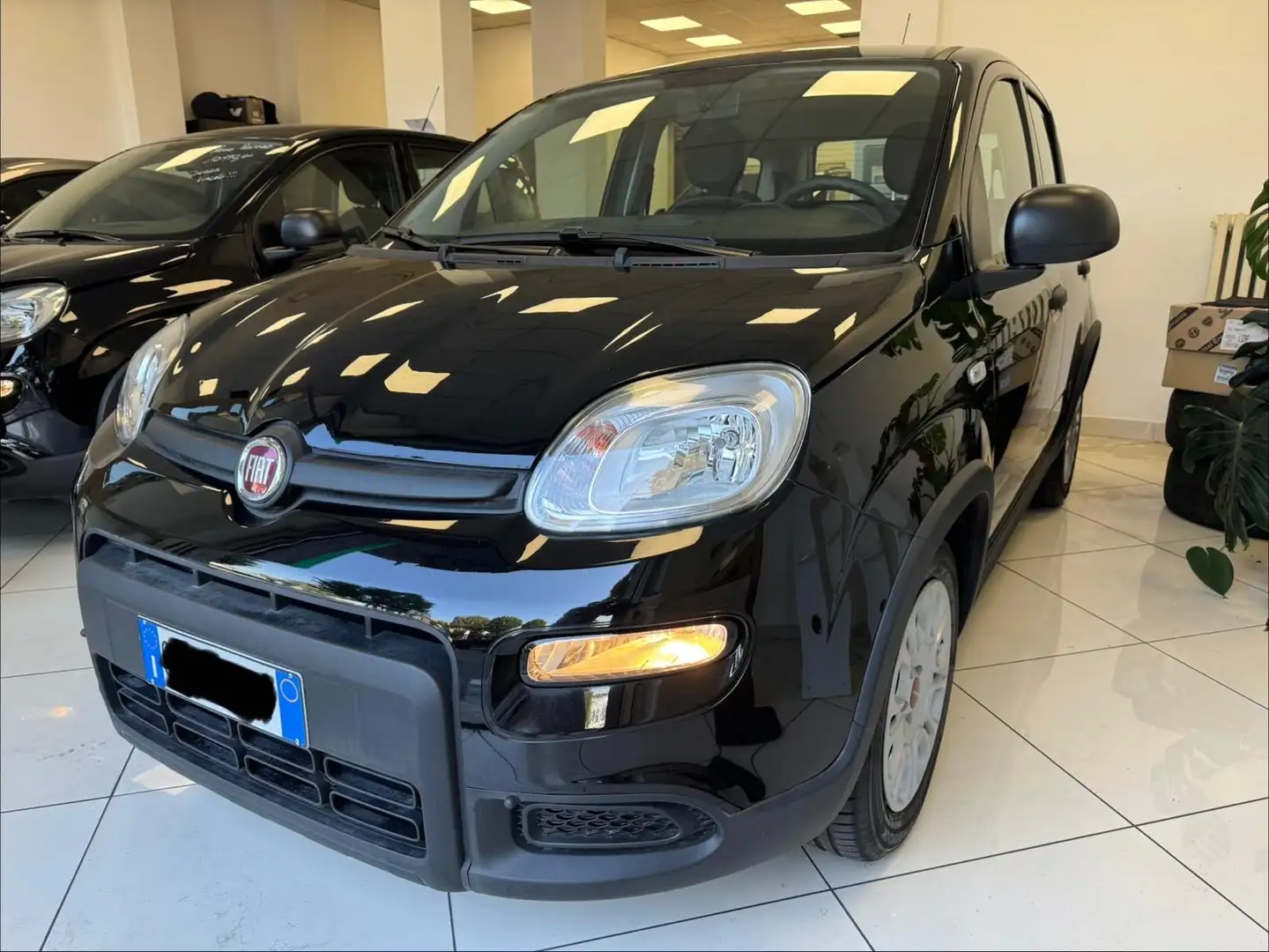 Fiat Panda PROPOSTA NOLEGGIO Pandina 1.0 firefly hybrid s Nero - 1