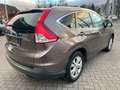 Honda CR-V CR-V 1.6 i-DTEC 2WD Elegance Gris - thumbnail 4