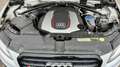 Audi SQ5 3.0 TDI plus quattro Pano+ACC+AHK+B&O+ADVKey Blanco - thumbnail 13